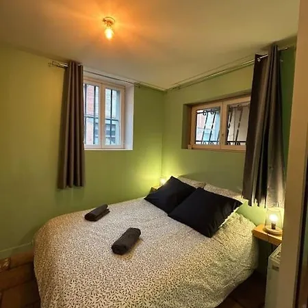 Le Cosy Balat Biel Rdc Jardin Spacieux Grisolles  Esterno foto